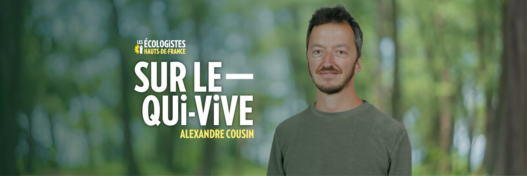 Dans les pas du Loup : ce que la Belgique nous apprend