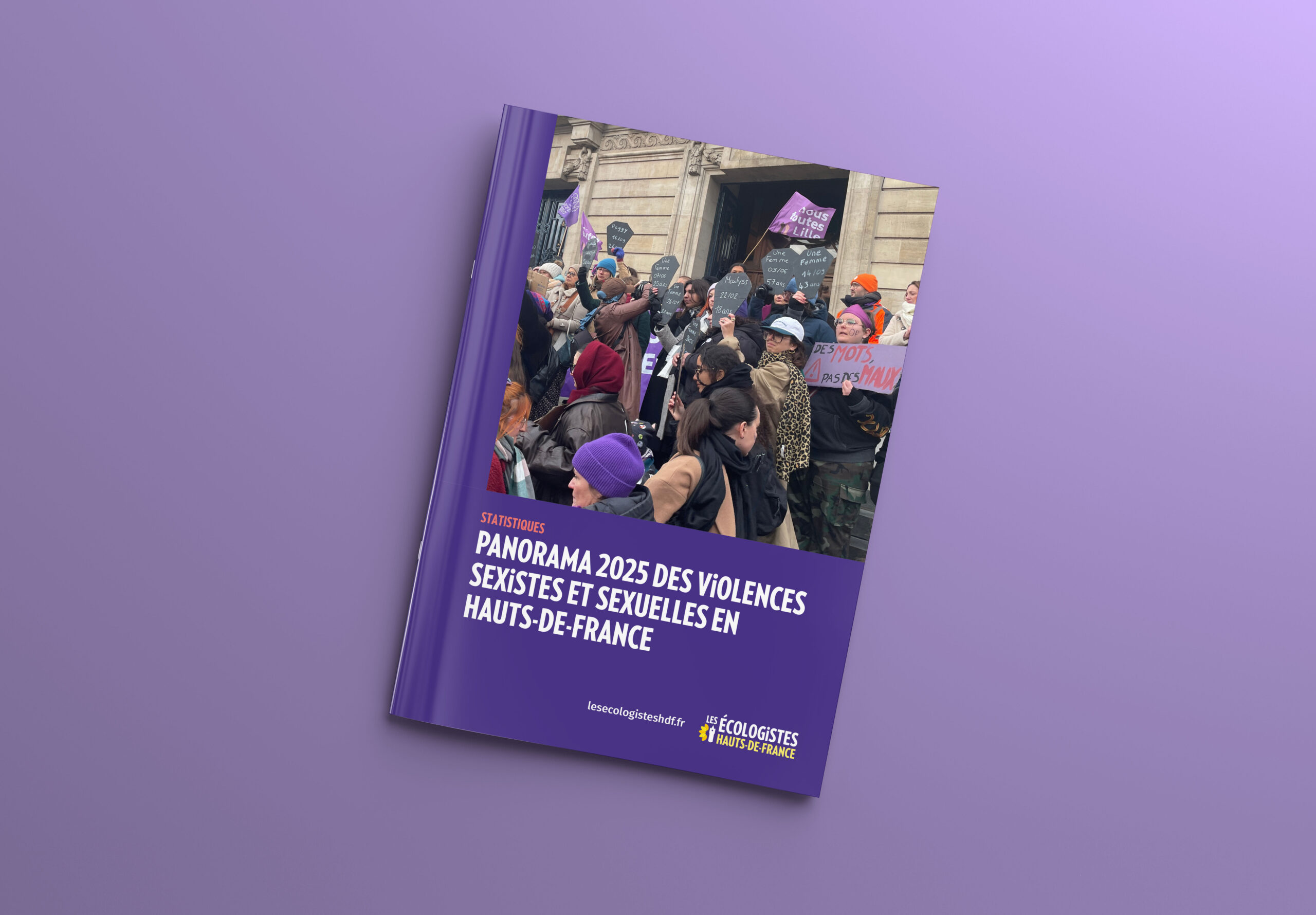 Le panorama 2025 des Violences Sexistes et Sexuelles est disponible