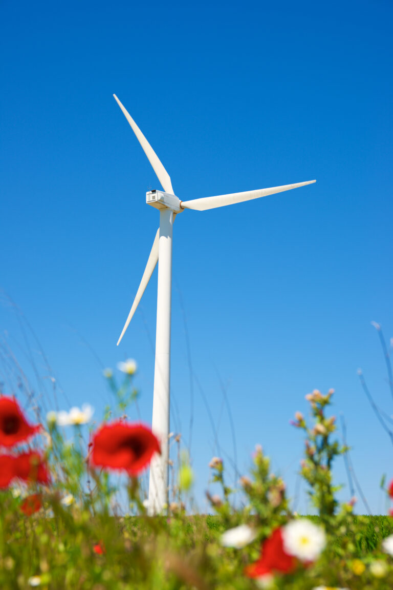 Recours contre la Fédération Stop Éoliennes Hauts-de-France : le Tribunal administratif de Lille annule la subvention